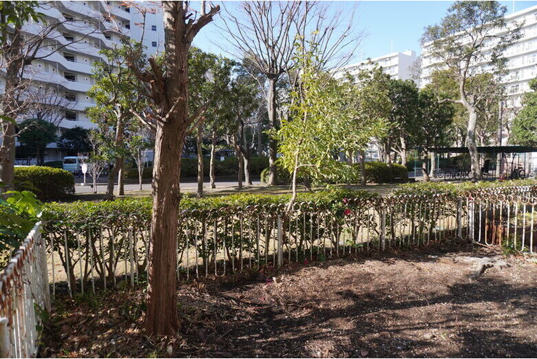 apartment 鎌倉ロジュマン（岡本）