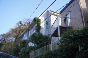 森の静寂を纏う。大町白亜のヴィンテージ・ベース〈戸建〉