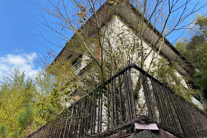 この先は自由に【戸建】