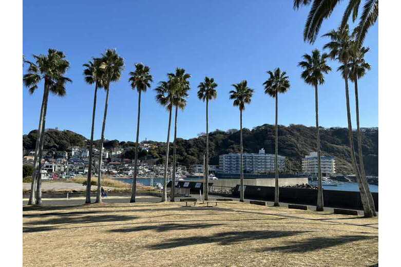 青い海と、椰子の木と【マンション】