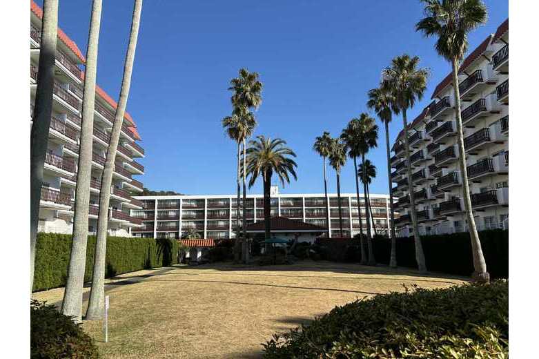 青い海と、椰子の木と【マンション】