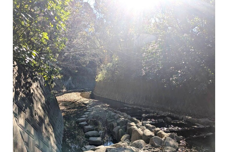 detached 秋谷・三浦半島