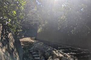 子育てがもっと楽しくなる家。【リフォーム済み戸建】