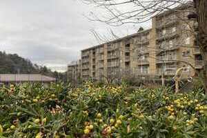 季節を愉しむ集合住宅【マンション】