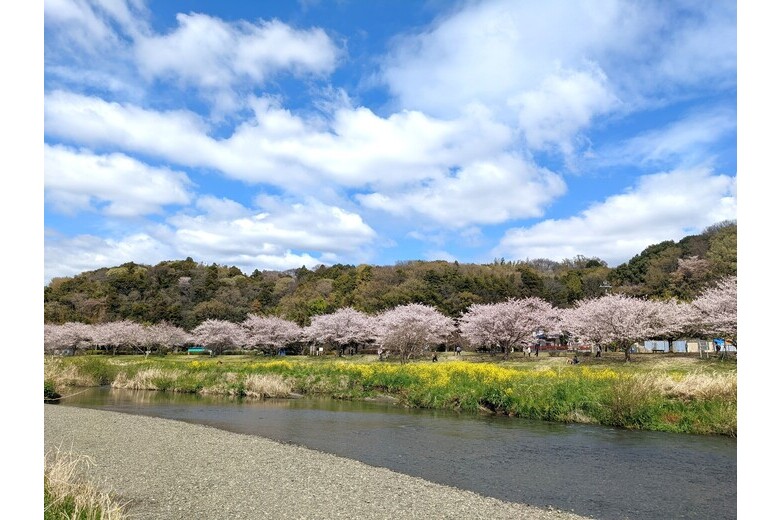 陽あたり命【古家付き土地】