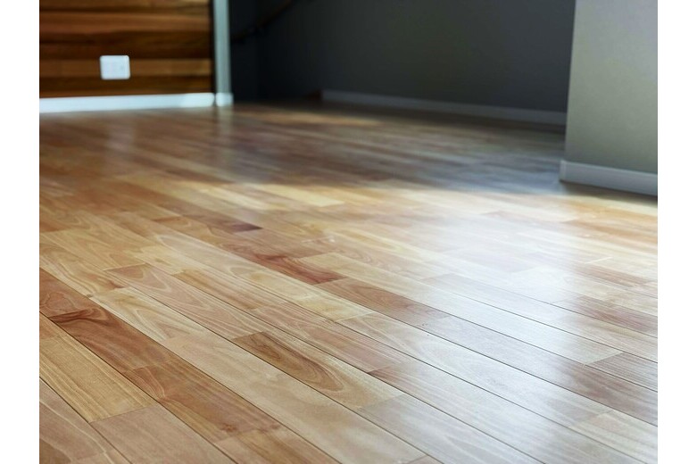 桜の木の上で【新築】