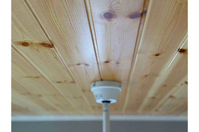 桜の木の上で【新築】