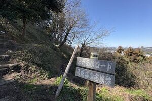 ５分でタイムスリップ？の葉桜分譲地【土地】