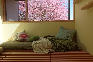 わたし、ここに住みたい　【デザイナーズ/戸建】