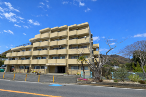 ライオンは、三浦半島に棲んでいる【マンション】