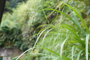 はじまりはいつも扇ガ谷【テラスハウス】