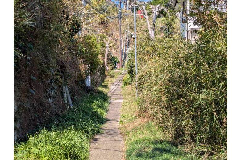 森のアトリエに住まう【戸建】