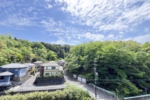 緑のカーテンに包まれる【マンション】