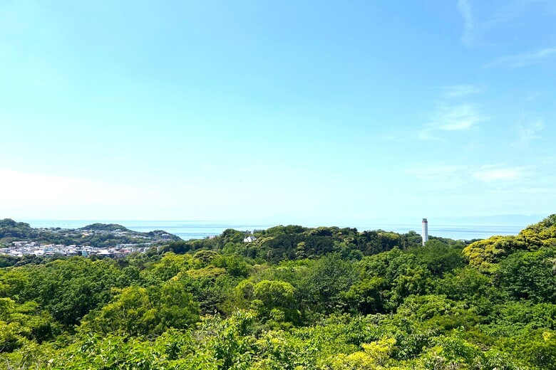 小鳥も住みたくなる家【戸建】