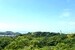 小鳥も住みたくなる家【戸建】