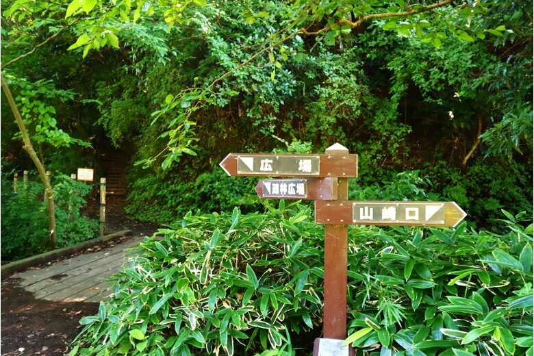 detached 山崎