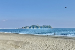 湘南らしさの最前線【戸建】