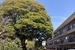 横浜　山手　ホテル暮らし【デザイナーズリノベマンション】