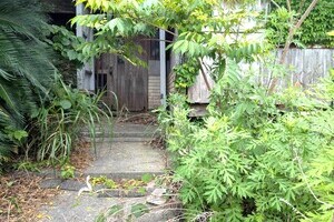 100坪超えの緑溢れすぎ！【土地】