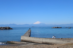 さてと。そろそろ都会を離れるか　【土地　更地】