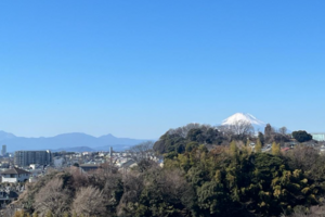 緑に包まれた、てっぺんで【マンション】