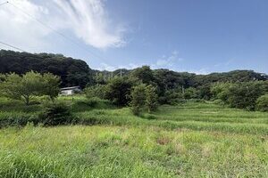 もうひとつの葉山【土地】