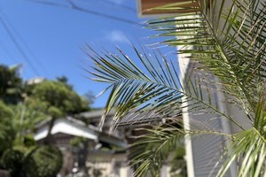 腰越空越【新築】