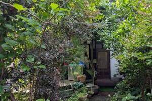 森から溢れる家族の笑い声【中古戸建】