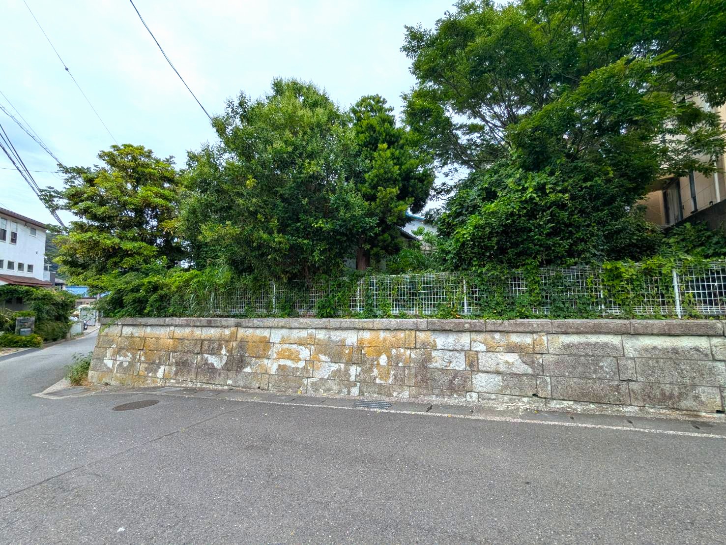100坪超えの緑溢れすぎ！【土地】 - ココハウス