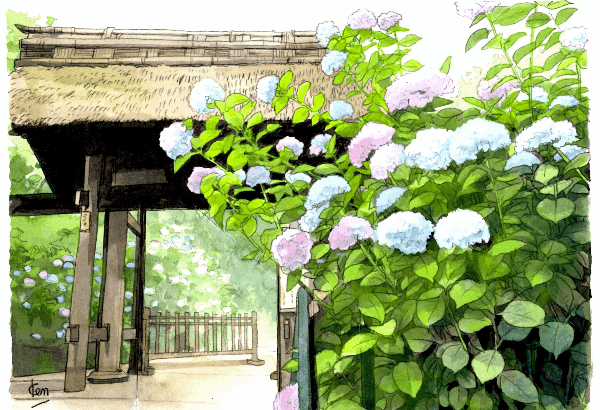 東慶寺の紫陽花は ヒミツにしたいほど美しいのです 絵になる風景のそばに いい住まいがある ココハウス