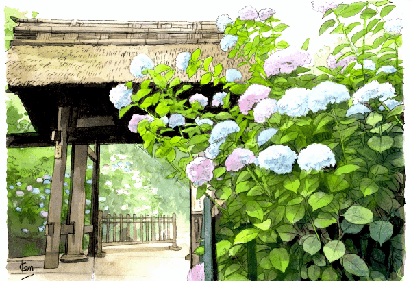 東慶寺の紫陽花は ヒミツにしたいほど美しいのです 絵になる風景のそばに いい住まいがある ココハウス 東慶寺の紫陽花は ヒミツにしたいほど美しいのです 絵になる風景のそばに いい住まいがある ココハウス