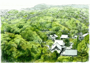 天園ハイキングコースから見る建長寺の森は、かすかに紅葉が始まっていました。