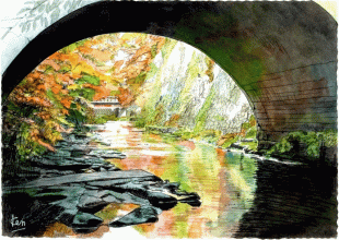  東勝寺橋あたりはすでに紅葉が始まっており、それが滑川の渓流の水面映り込むことで、深山に来たような気分になるのです。