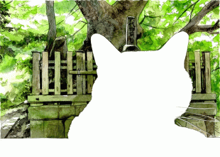 瞳の大きなマミちゃんは、六代御前墳墓周辺が遊び場で、今日も愛嬌を振りまいていました。