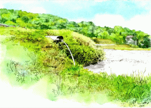 上山口の棚田では、田植え前の耕起作業の前段階として、田にたっぷり水を入れていました。