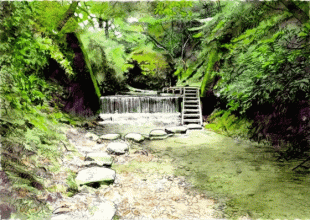 前田川遊歩道は、暑い夏でも三浦半島一涼しく、緑と清流を楽しめるハイキングコースです。