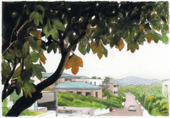 披露山住宅は 日本のビバリーヒルズと言われています 絵になる風景のそばに いい住まいがある ココハウス
