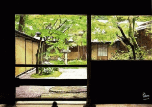 国の重要文化財となっている一条恵観山荘(いちじょうえかんさんそう)の庭園には、もう紅葉が始まっています。