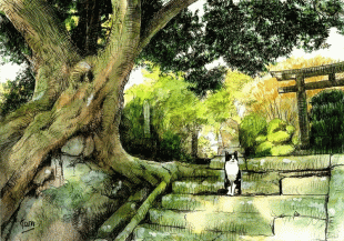 山ノ内の八雲神社は時が止まったように訪れる人もなく、あまりにも静かなのかネコちゃんは大あくびしてしまいました。