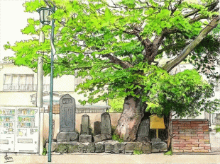 由比ヶ浜通りに面して、碑とその碑を守る大木があり、若葉がとても美しくて季節のすばらしさに感動するのです。