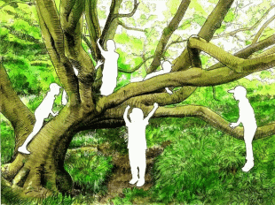 七里ガ浜と鎌倉山一帯に住宅地が広がっていますが、その中に48ｈの広大な緑のオアシス「鎌倉広町緑地」があります。