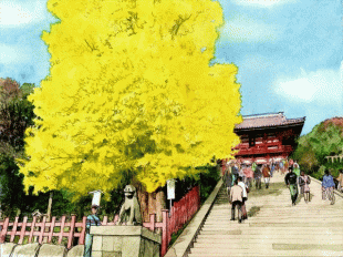 鎌倉のシンボルともいうべき鶴岡八幡宮の巨木は2010年強風により倒れてしまいました。この絵はそれ以前の写真を参考に描いたものですが、その巨木の種類名が今回の問題です。