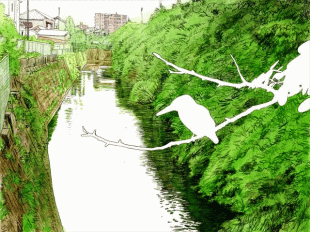 逗子市の町中を流れる田越川の中流域にお住いのＳさん、その玄関前から描いた風景ですが、この川はカワセミの餌場となっているとても透明度の高い川なのだと、自慢げに話してくれました。