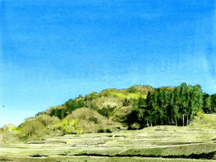 上山口の棚田を望む風景ですが、冬の寒さの中で春の予感を感じさせるように、梅の花がほころび始めました。