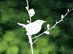 葉山町の町の鳥として「うぐいす」が選定されたのは、町のいたるところで出会えることと自然保護のイメージがあるからです。