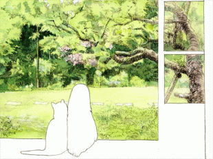 古民家の縁側での～んびり、私も猫ちゃんも贅沢三昧な時をすごしています。
