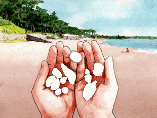 海の自然観察なら葉山の海岸、時の経つのも忘れるワンダーランドです。