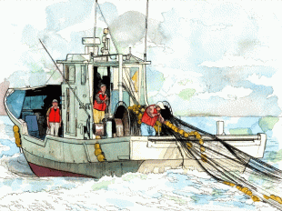 海の近くに居住するからこそ味わえる、絶品「生しらす」です。