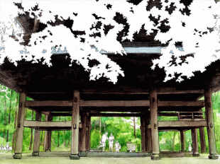 円覚寺山門を背景に、若葉が目に沁みる季節となりました。