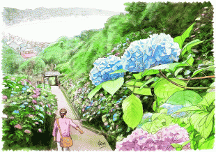 鎌倉にとってあじさいは、特別の花としての理由があるのです